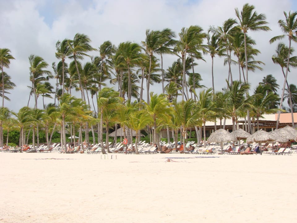 Strand Secrets Royal Beach Punta Cana - Adults only