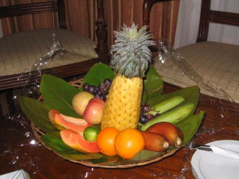 Begrüßungskorb EKHO Surf