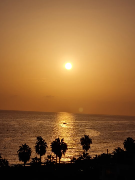 Ausblick Hotel Royal Garden Beach