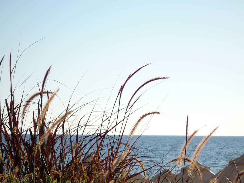 Der Ausblick vom Garten aus Melas Holiday Village