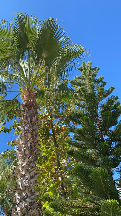 Gartenanlage Hotel Delphin Imperial