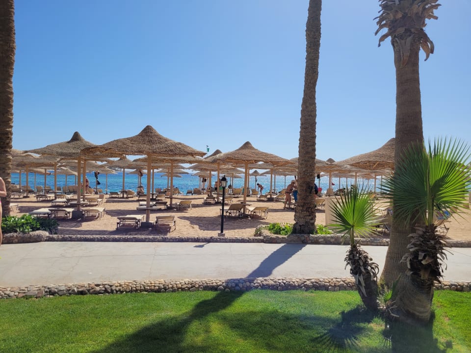 Strand Jaz Makadi Oasis Resort