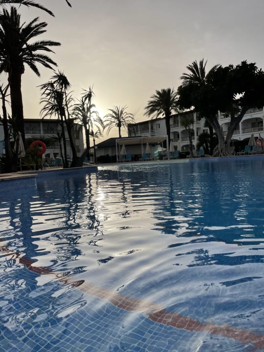 Pool Alcudia Garden Aparthotel