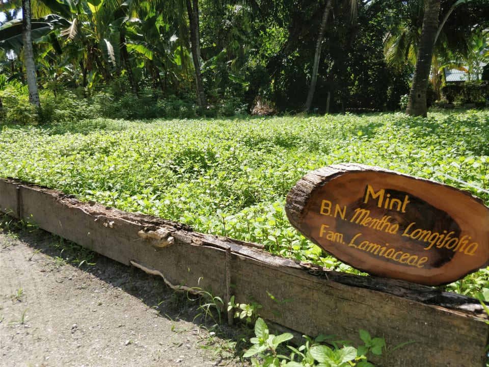 Gartenanlage Adaaran Select Hudhuran Fushi - Premium All Inclusive