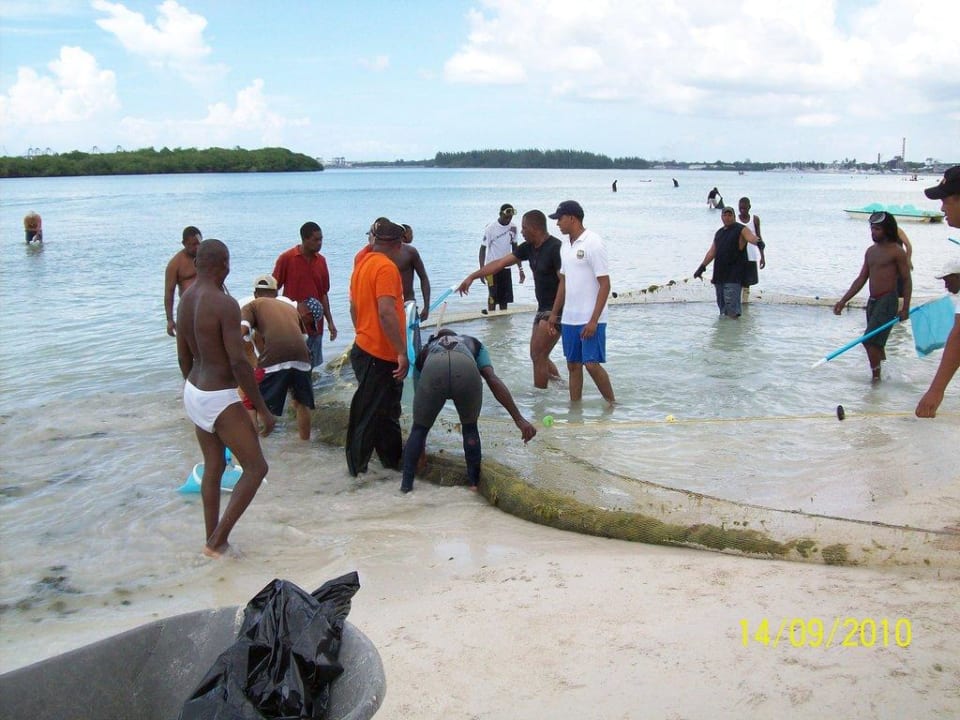 Generalreinigung am Strand whala!boca chica