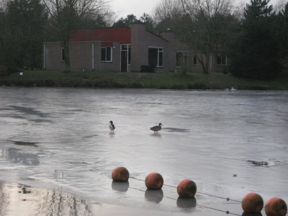 Gefrorener See Roompot Weerterbergen