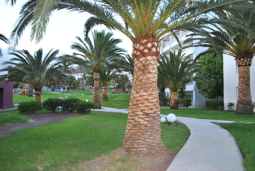 Hotel allsun App.-Hotel Esquinzo Beach