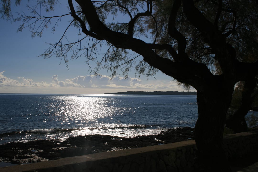 Umgebungsfoto CM Castell de Mar