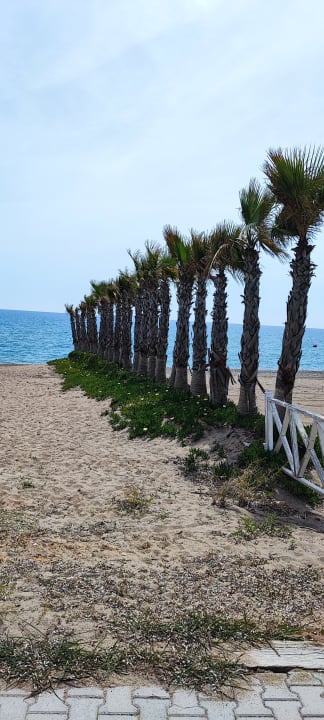 Strand Calimera Serra Palace