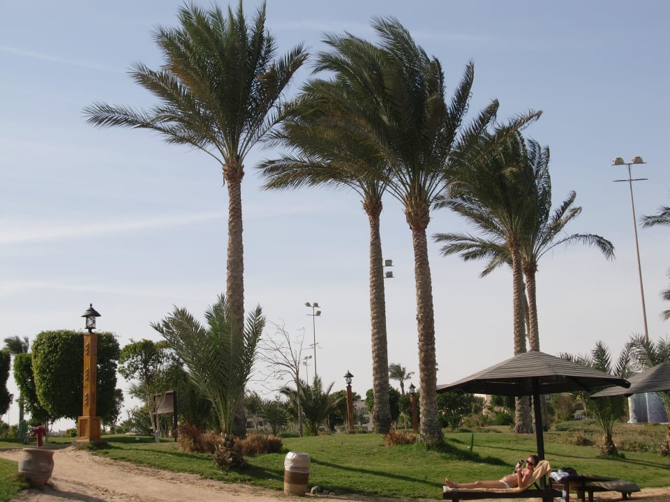 Weg zum Strand Steigenberger Aqua Magic