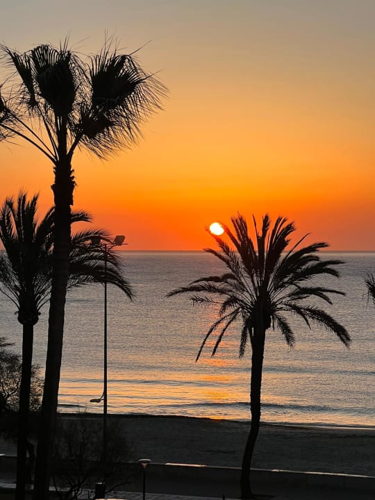 Zimmer CM Playa del Moro