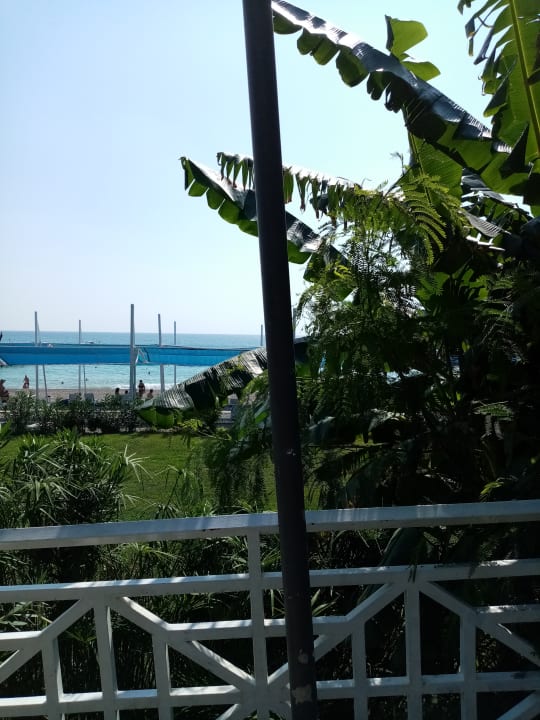 Gartenanlage Seaden Sea Planet Resort & Spa