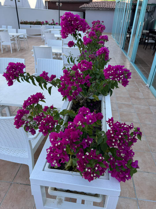 Ausblick Iz Flower Side Beach Hotel
