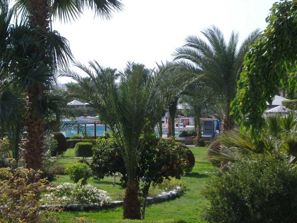 Garten Lotus Bay Beach Resort