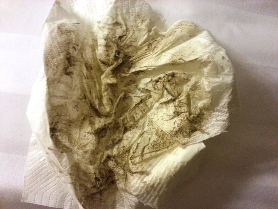 Vom Schrank Best Western Plus Palatin Kongresshotel