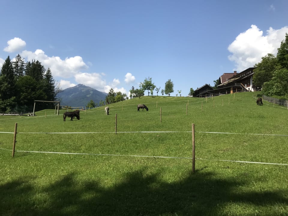 Ausblick Familienhotel Ramsi