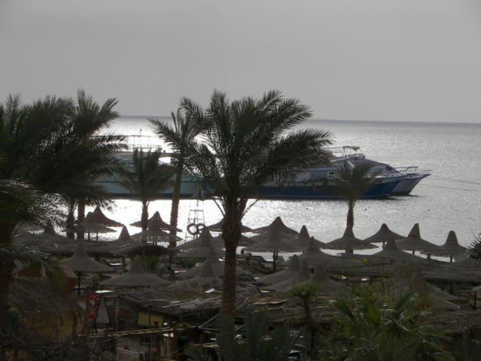 Morgens Giftun Azur Resort