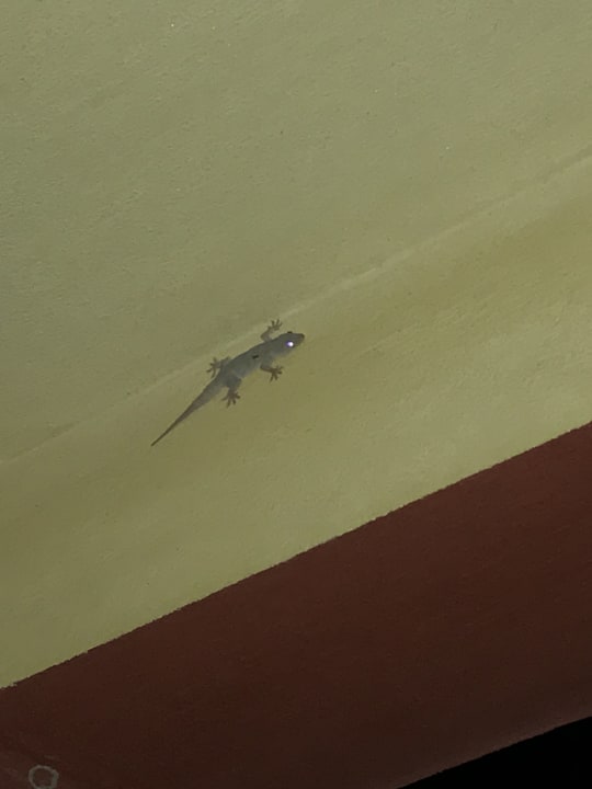 Außenansicht Casa Mare Resort