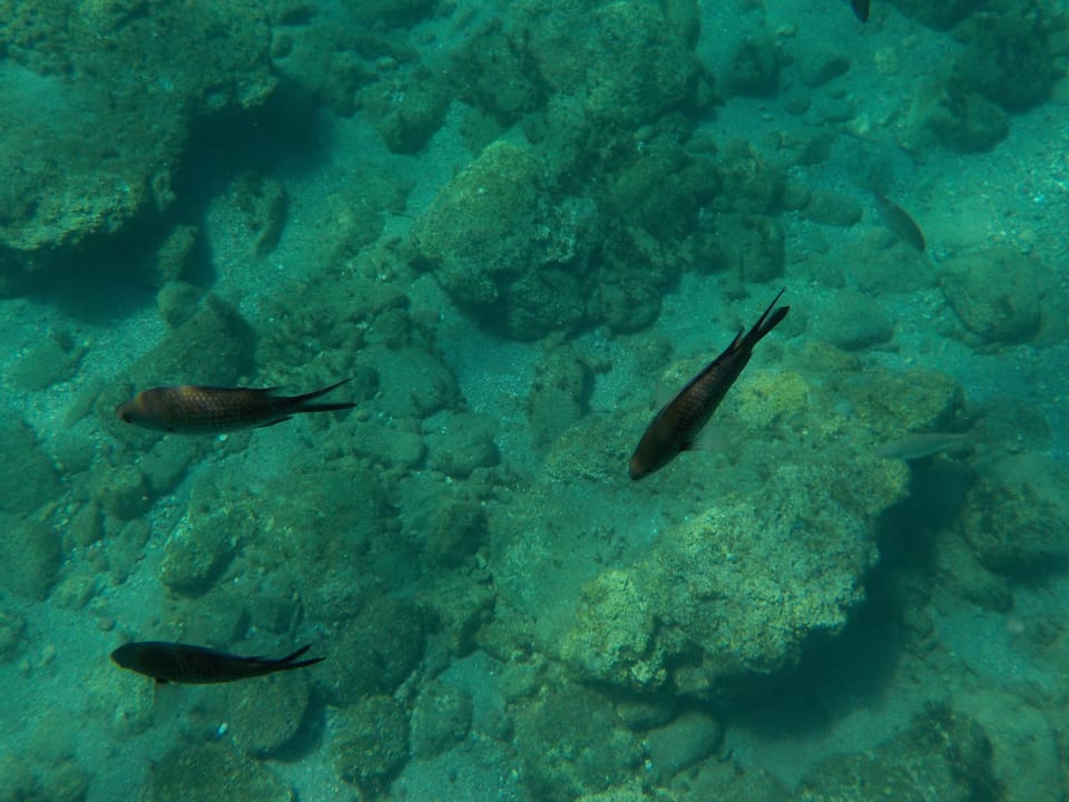 Strand Mitsis Rodos Village