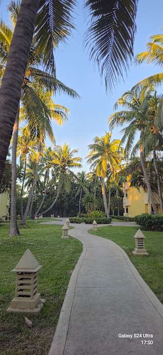 Gartenanlage Iberostar Waves Paraiso del Mar