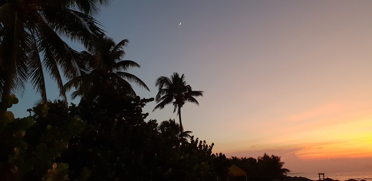 Strand Starfish Cuatro Palmas