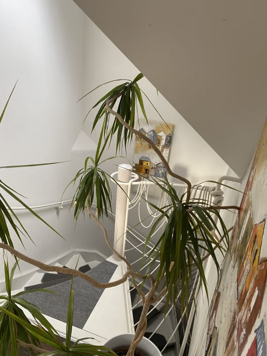 Zimmer Hotel Traube am See