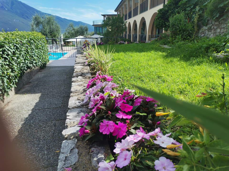 Gartenanlage Hotel Mercedes