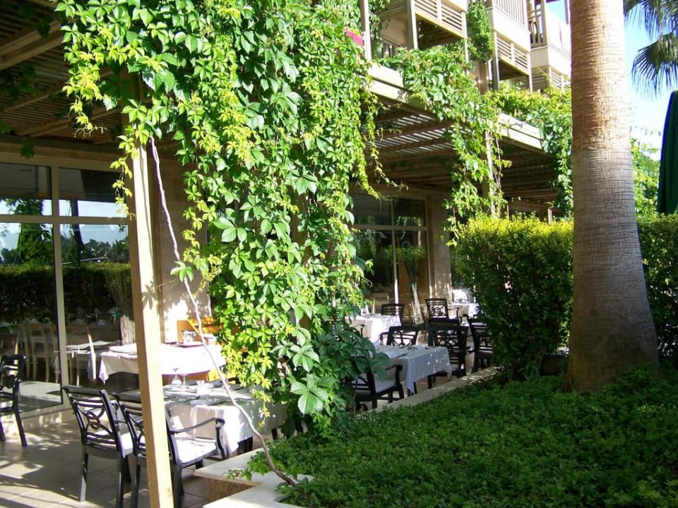 Hier konnte man Frühstücken oder Abendbrot essen Can Garden Resort