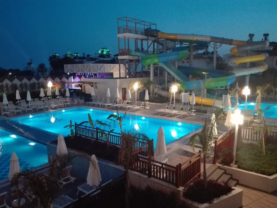 Pool Seashell Vega