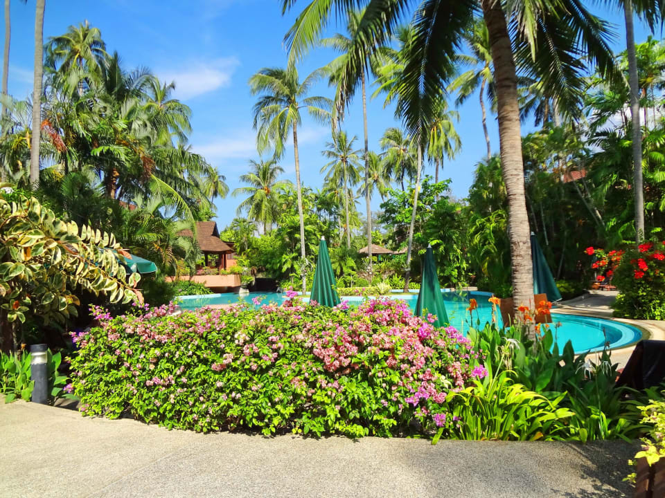 Pool Courtyard by Marriott Phuket, Patong Beach Resort