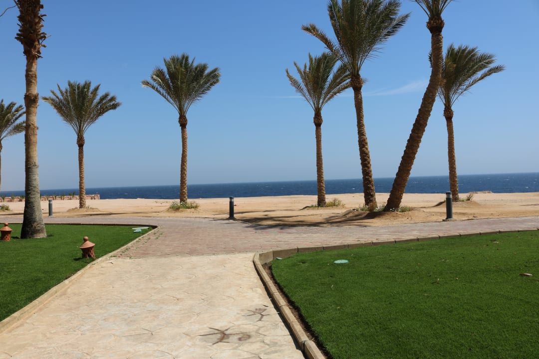 Gartenanlage Steigenberger Coraya Beach - Adults only