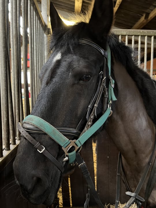 Sport & Freizeit Landhuus Laurenz