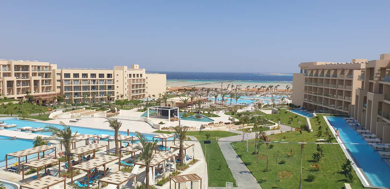 Zimmer JAZ Elite Asteria