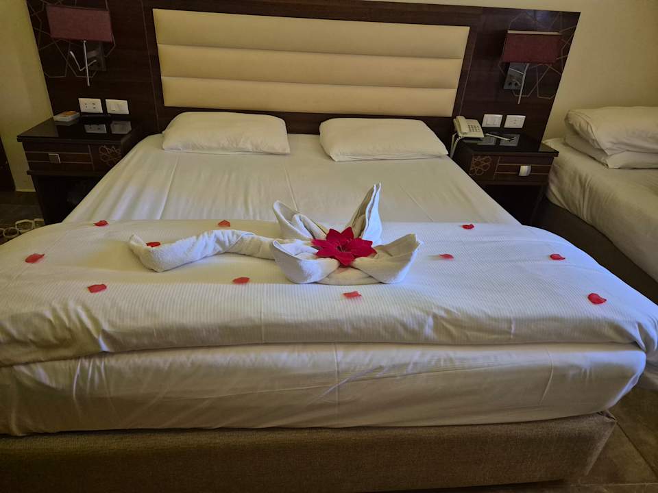Sonstiges Pickalbatros Aqua Blu Resort - Hurghada