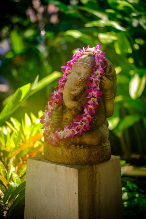 Gartenanlage Zazen Boutique Resort & Spa