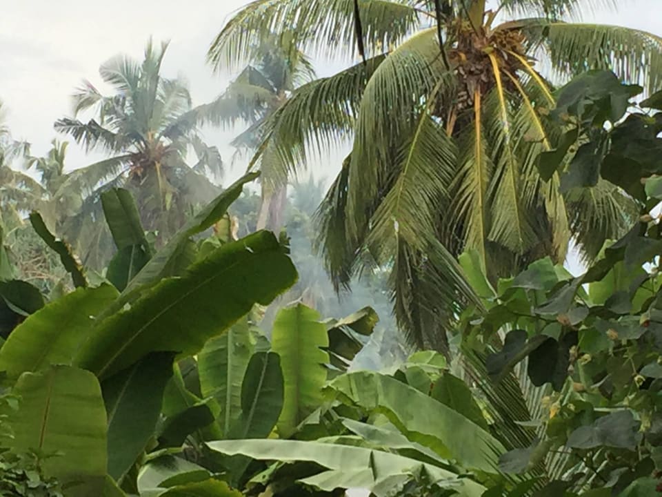 Müllverbrennung Fihalhohi Maldives