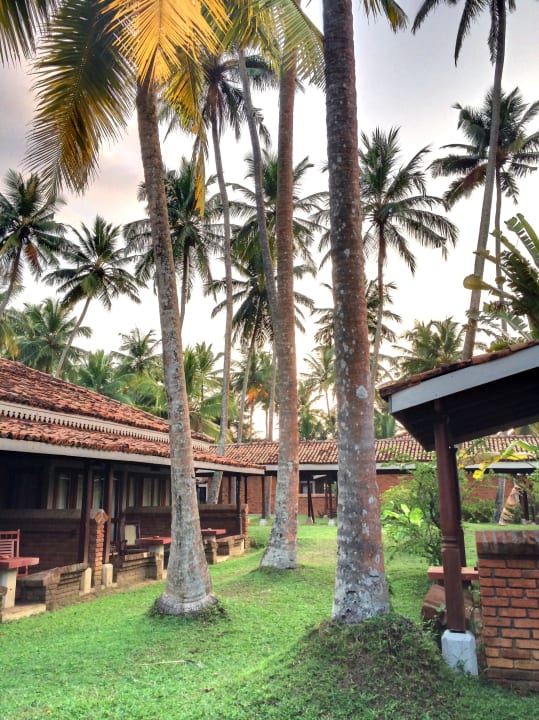 Anlage Hotel Club Bentota