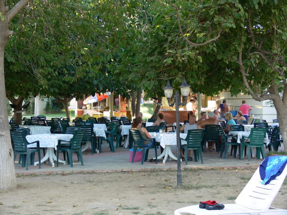 Biergarten Hotel Gardenia Beach