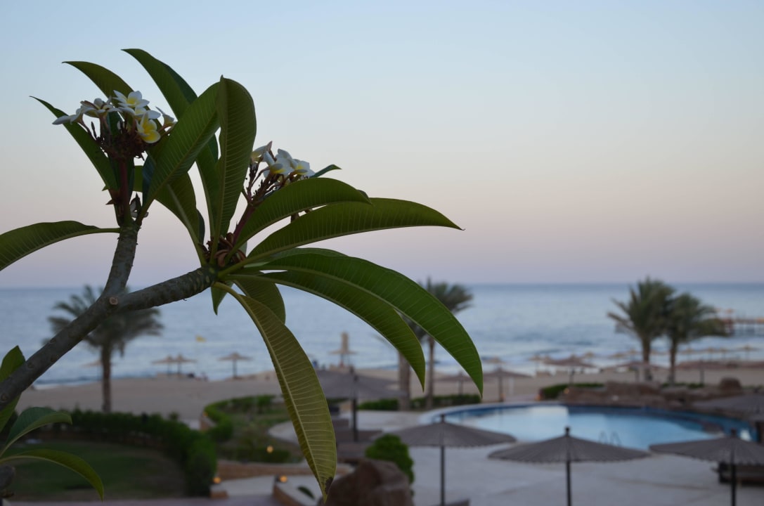 Widok z tarasu Coral Hills Resorts & SPA