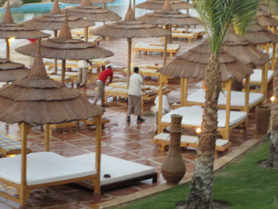 Ausblick vom Zimmer, Reinigungskräfte arbeiten... Pickalbatros Palace Resort