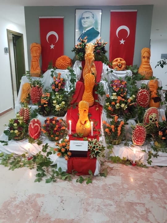 Gastro Asteria Collection Side