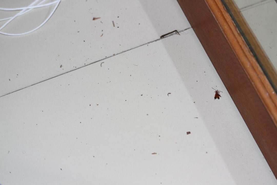 Gepflegter Boden Adaaran Select Hudhuran Fushi - Premium All Inclusive