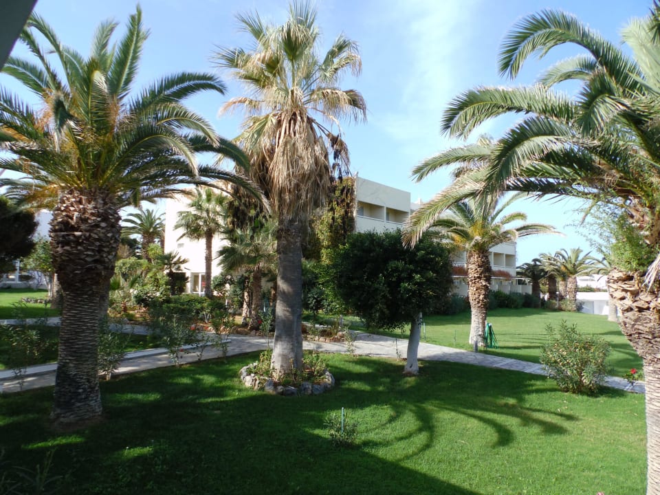 Topp gepflegt Lyttos Beach Hotel