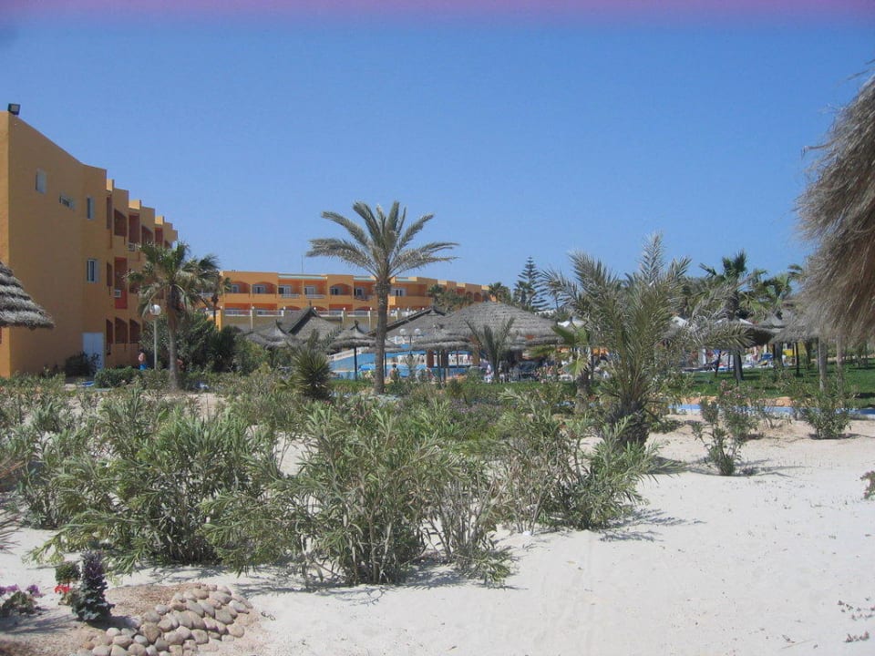 Vue Jardin Caribbean World Thalasso Djerba