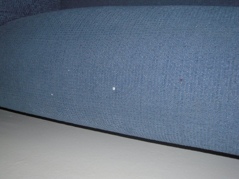 Sofa Club Hotel Pineta