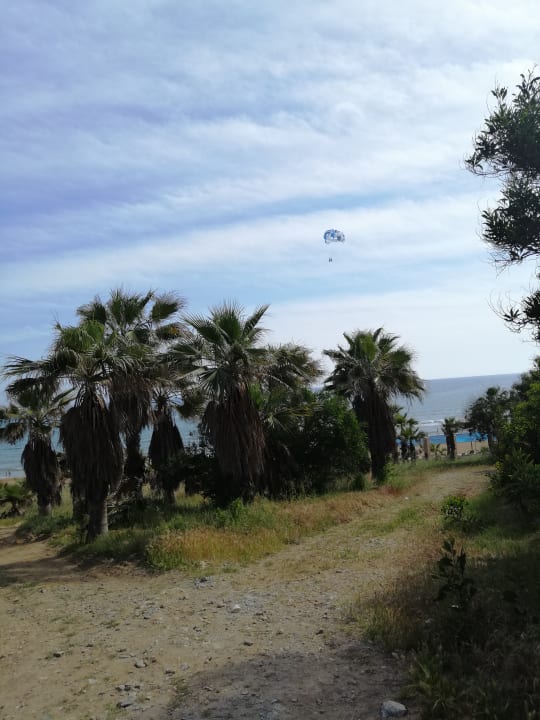 Garten Alba Queen Hotel