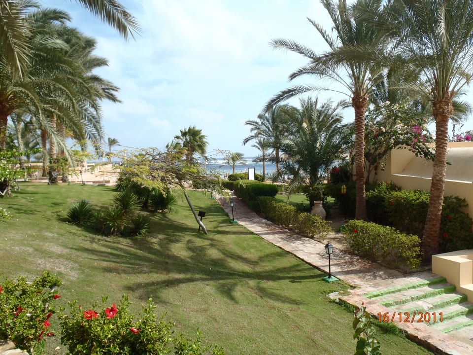 Weg Steigenberger Coraya Beach - Adults only