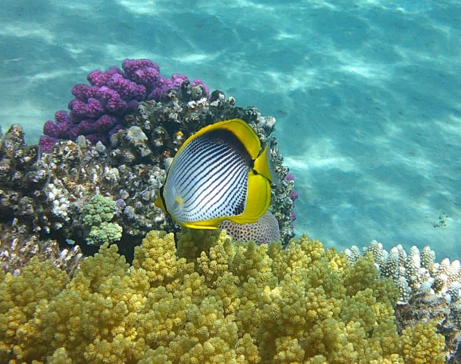 Sport & Freizeit Grand Waterworld Makadi & Family Star Makadi