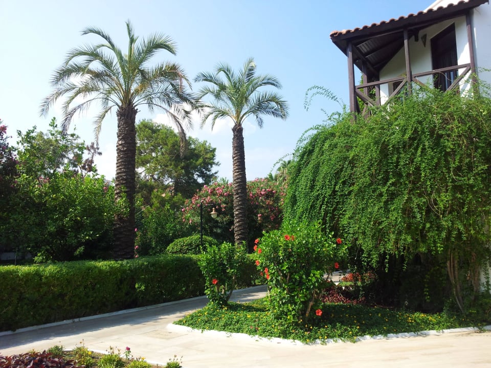 Garten Emelda Sun Club