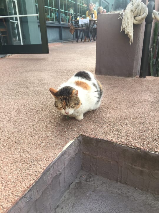 Sonstiges Hacienda San Jorge